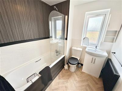 Picture 20
